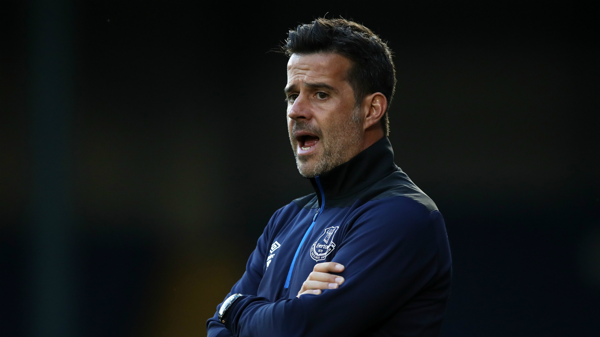 年轻的本土 年轻的本土