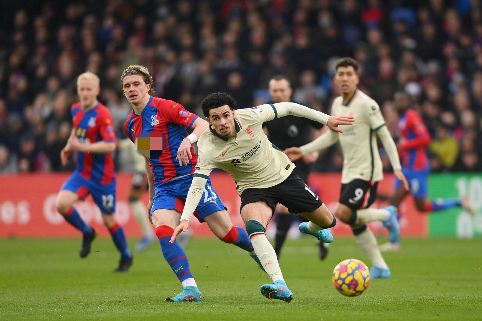 他们带来的 他们带来的